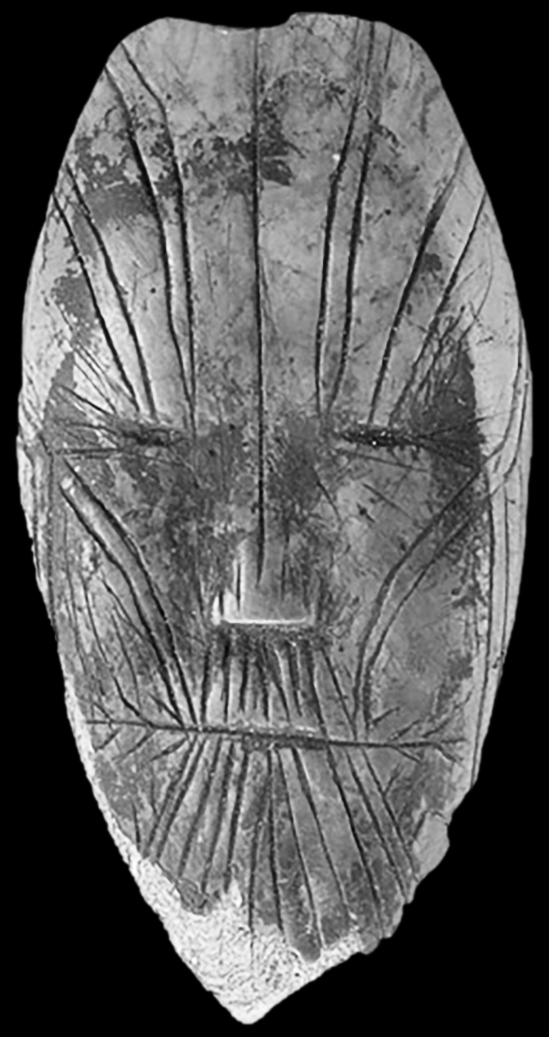 Paleeo Eskimo Face Decoration
